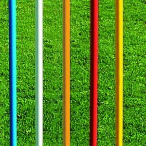 Paletto con puntale Barret