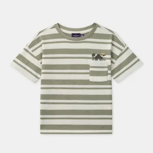 T-shirt à rayures vertes et écrues Garçon