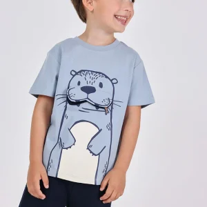 Maglietta bambino foca manica corta azzurra