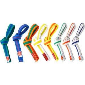 Hayashi – Karate belt two-tone