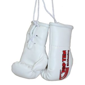 TOP TEN – Mini guantoni da boxe “TOP TEN Kickboxing”