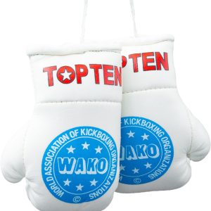 TOP TEN – Mini boxing gloves “WAKO Pro”